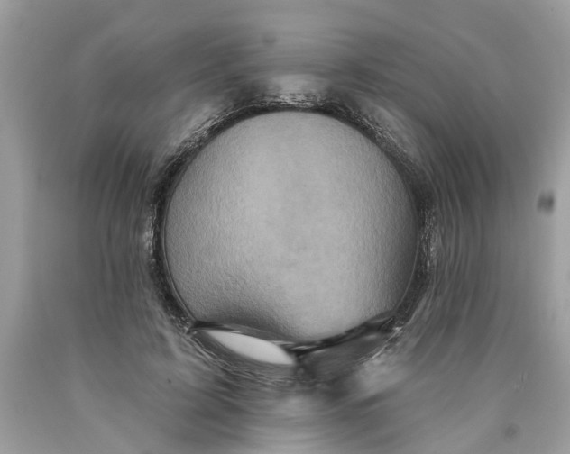 X0000089960595200707201950