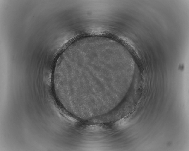 X0000089960596200707201950