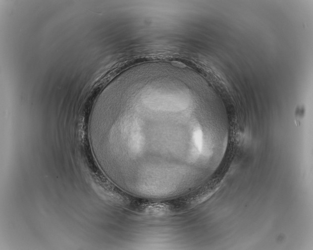 X0000089960599200707201950