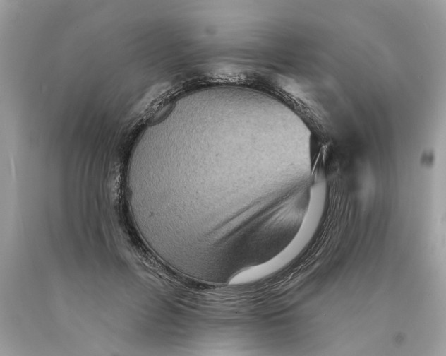 X0000089960600200707201950