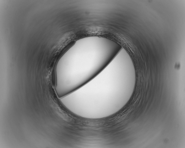 X0000089960601200707201950