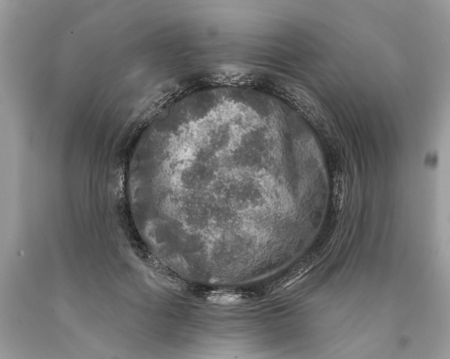 X0000089960602200707201950