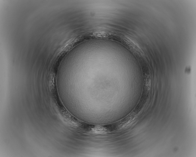 X0000089960603200707201950