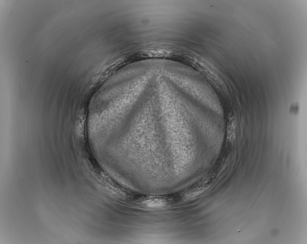 X0000089960604200707201950