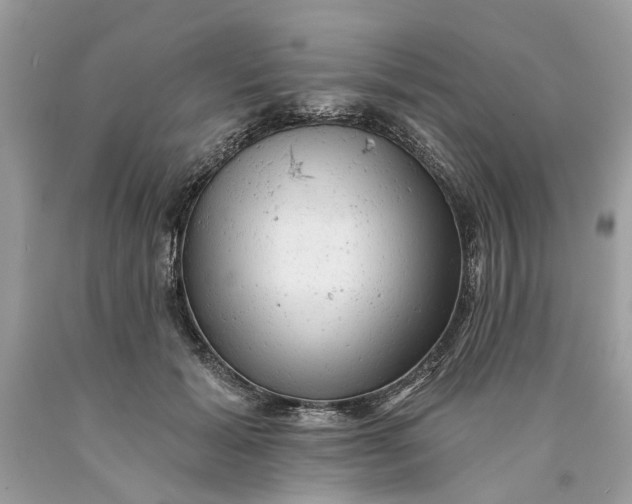 X0000089960605200707201950