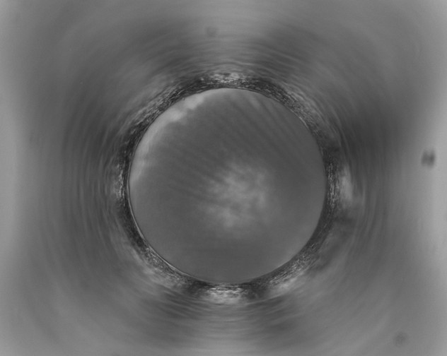 X0000089960606200707201950