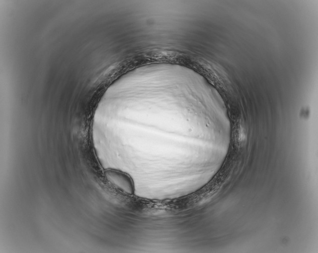 X0000089960607200707201950