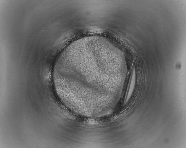 X0000089960608200707201950