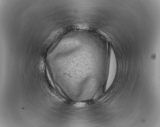 X0000089960609200707201950