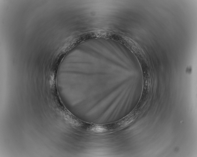 X0000089960610200707201950