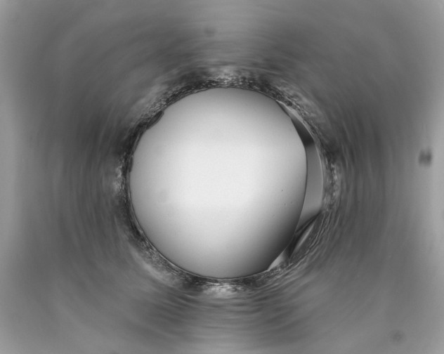 X0000089960611200707201950