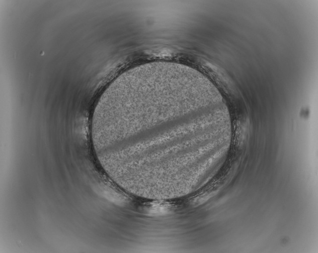 X0000089960612200707201950