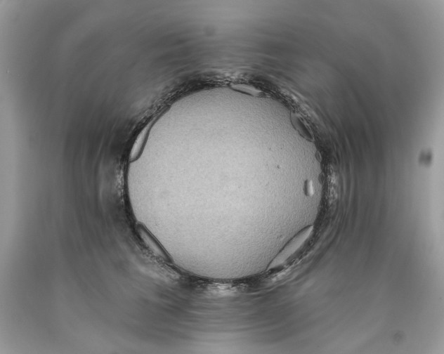 X0000089960613200707201950