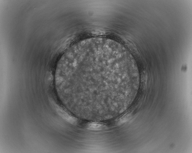 X0000089960614200707201950