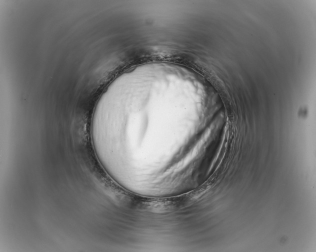 X0000089960615200707201950