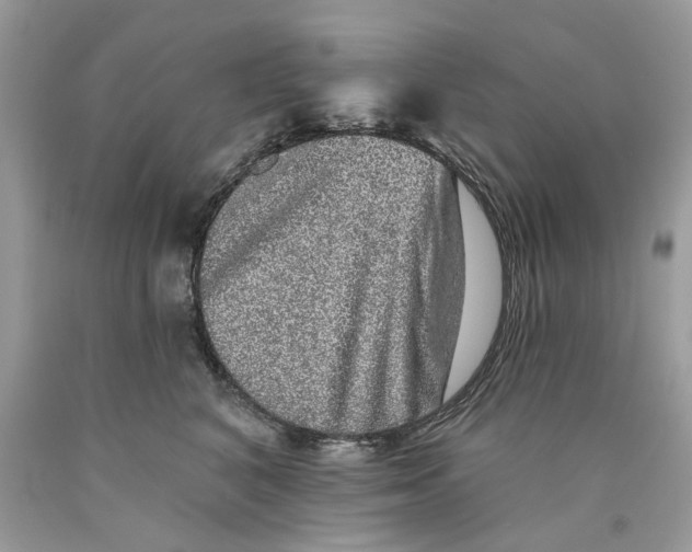 X0000089960616200707201950