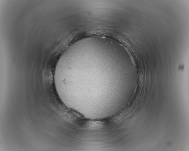 X0000089960617200707201950