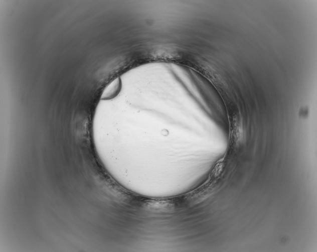 X0000089960619200707201950