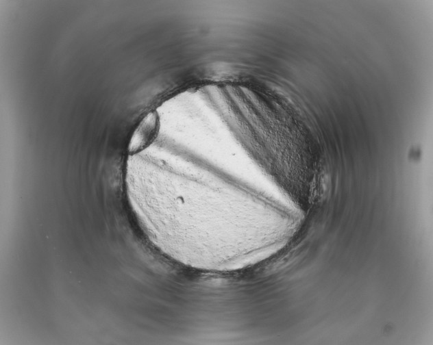 X0000089960620200707201950