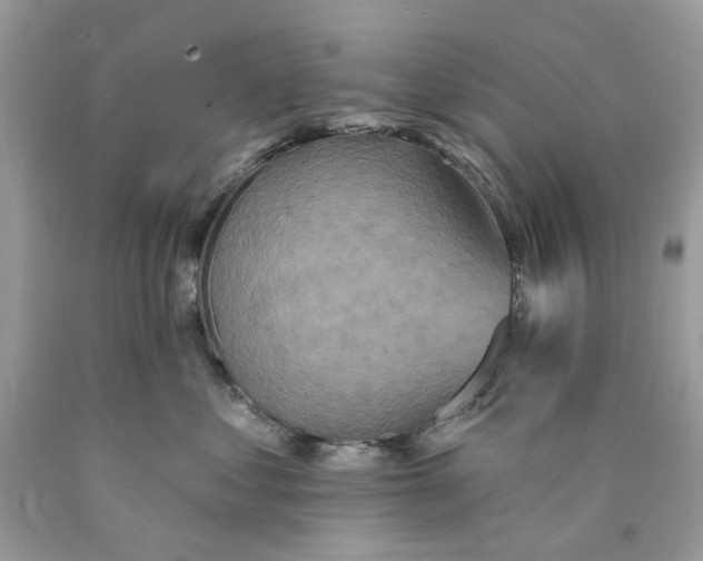 X0000089960621200707201950