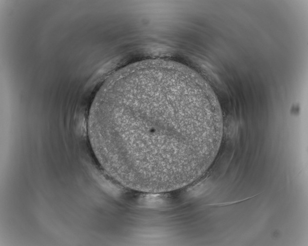 X0000089960622200707201950