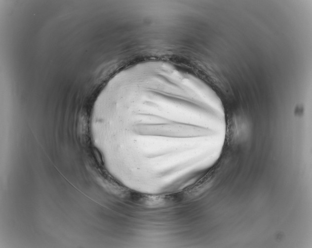 X0000089960623200707201950