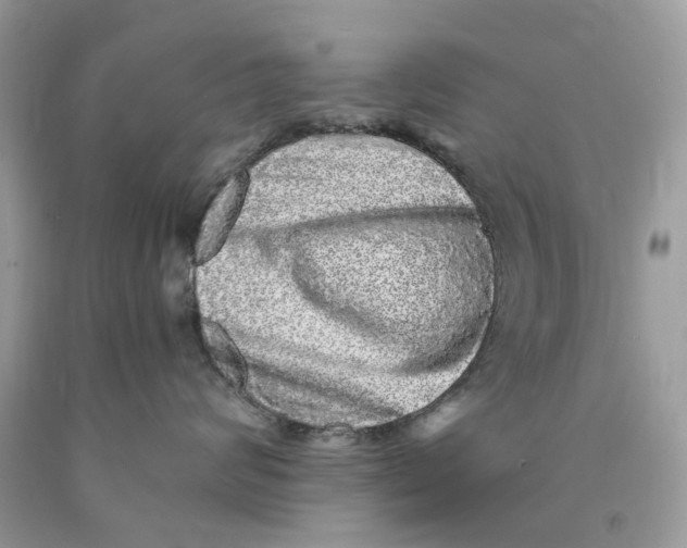 X0000089960624200707201950