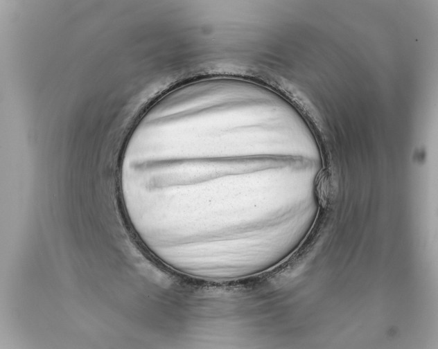 X0000089960625200707201949