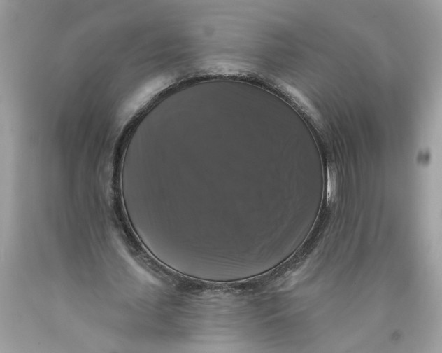 X0000089960627200707201949