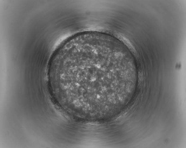 X0000089960628200707201949