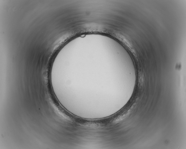 X0000089960629200707201949