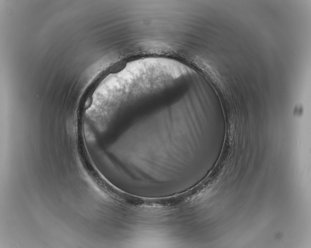 X0000089960630200707201949