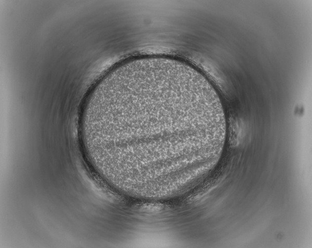 X0000089960631200707201949