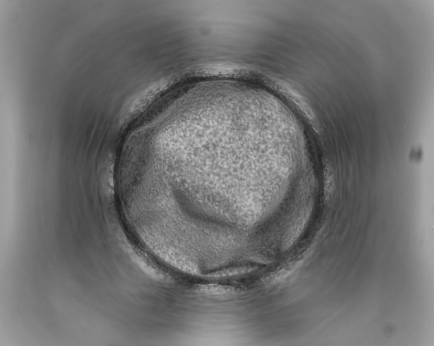 X0000089960633200707201949