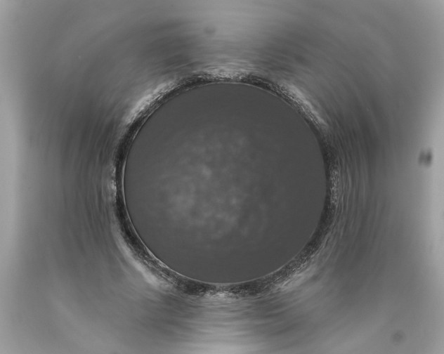 X0000089960634200707201949