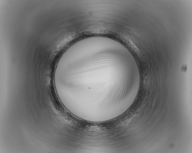 X0000089960635200707201949