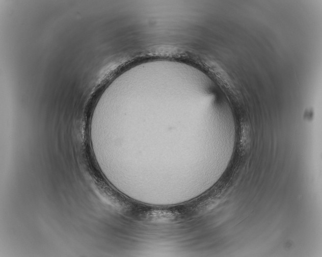 X0000089960636200707201949