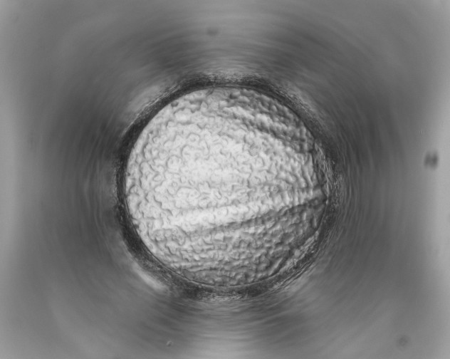 X0000089960638200707201949