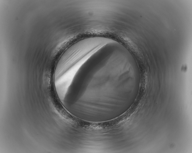 X0000089960640200707201949