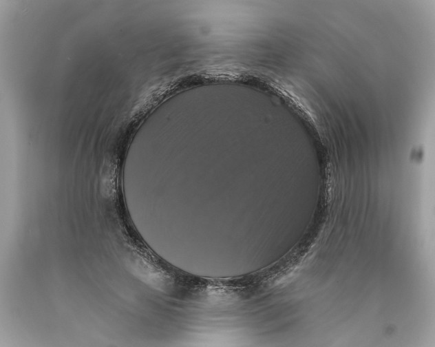 X0000089960641200707201949