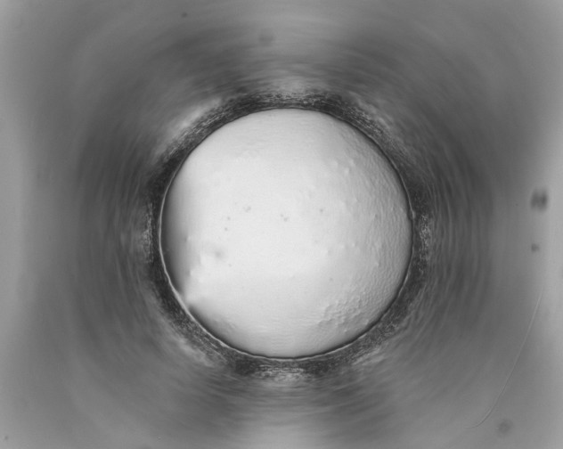 X0000089960642200707201949