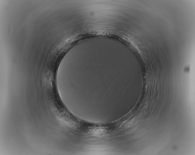 X0000089960643200707201949