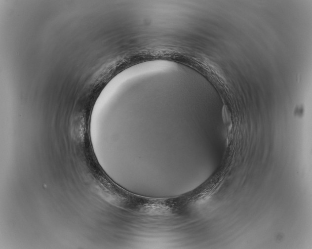 X0000089960644200707201949