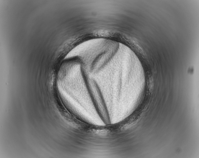 X0000089960645200707201949