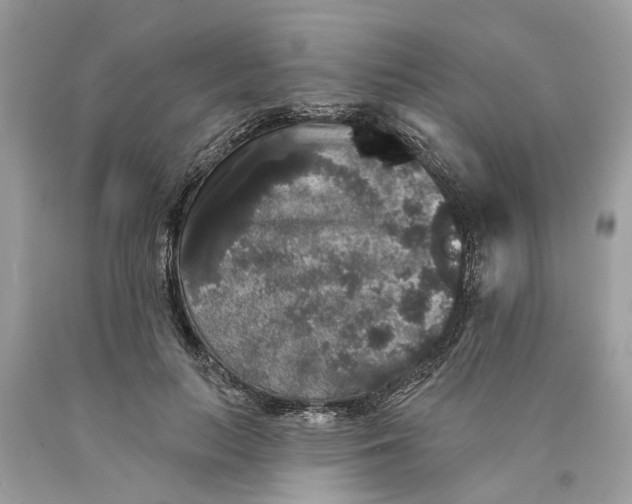 X0000089960647200707201950