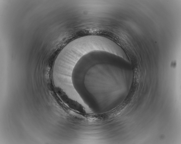 X0000089960650200707201950