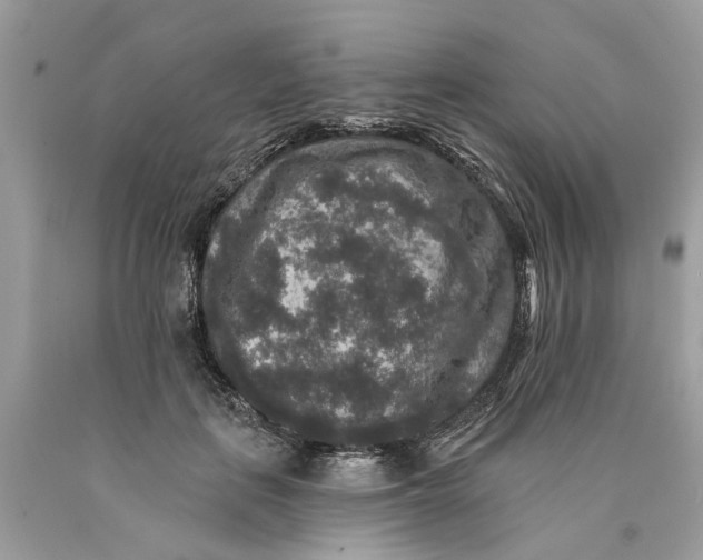 X0000089960651200707201950