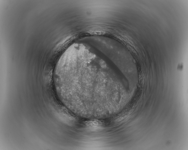 X0000089960652200707201950