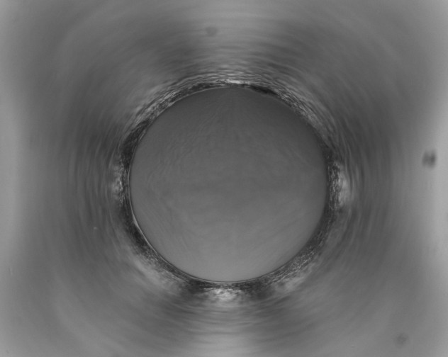 X0000089960654200707201950