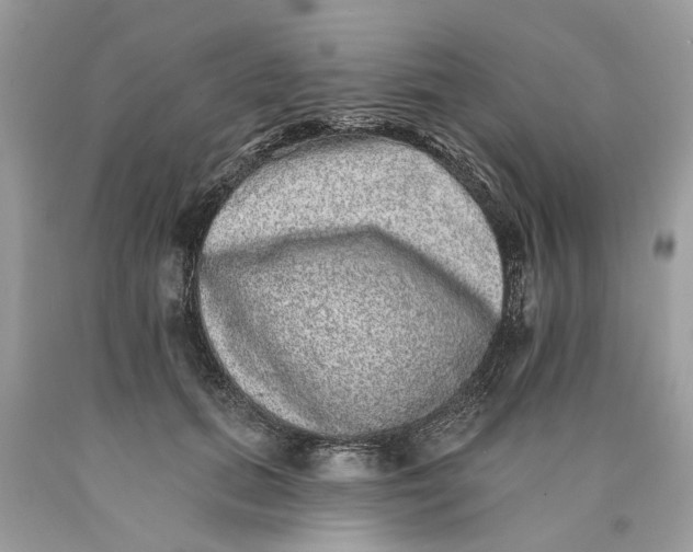 X0000089960655200707201950